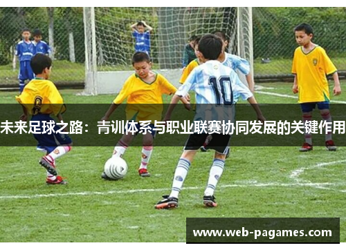 未来足球之路：青训体系与职业联赛协同发展的关键作用